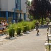 Falunap 2017